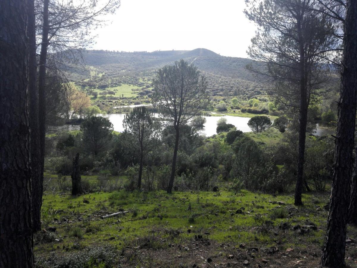 בית הארחה Helechosa 	Casas Rurales Cijara מראה חיצוני תמונה