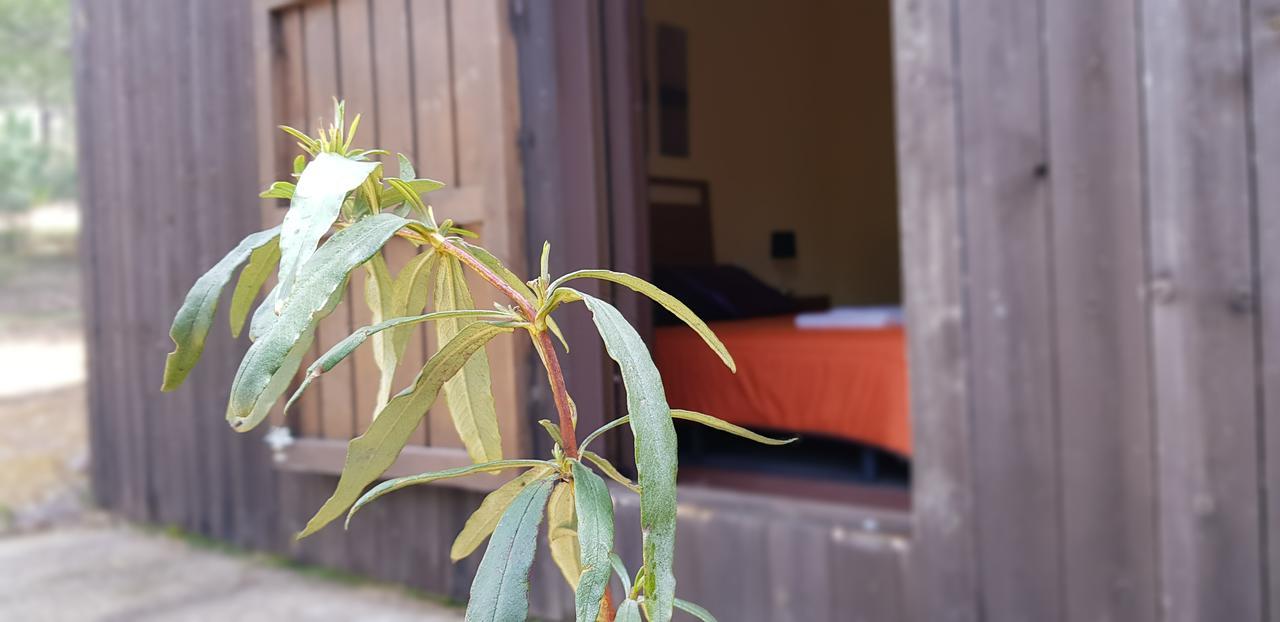 בית הארחה Helechosa 	Casas Rurales Cijara מראה חיצוני תמונה