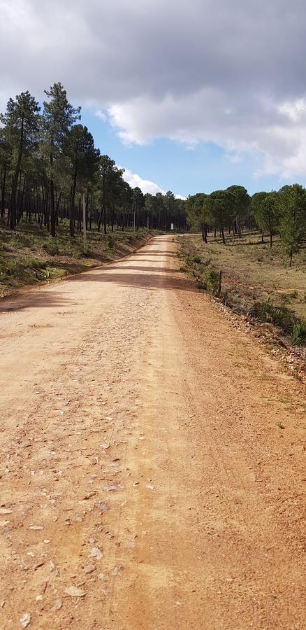 בית הארחה Helechosa 	Casas Rurales Cijara מראה חיצוני תמונה